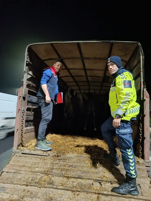 Tekirdağ'da belgesiz hayvan sevki yapan 2 kişiye 134 bin lira ceza uygulandı