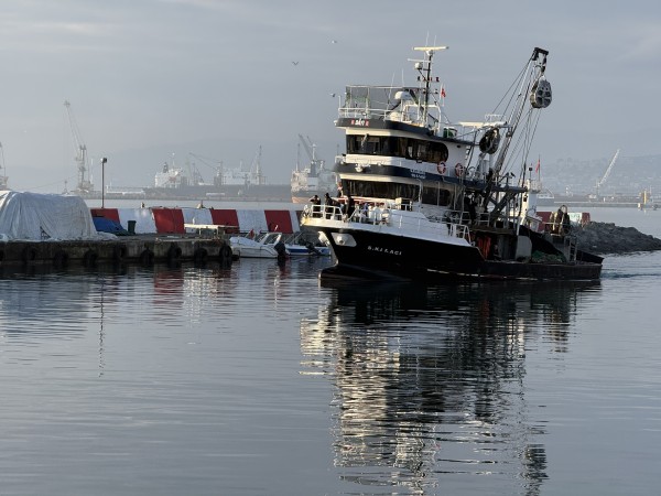 Tekirdağ'da istavrit bereketi sürüyor
