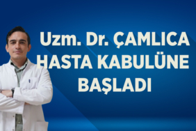 çam