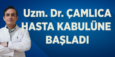 çam