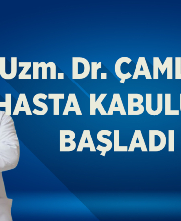 çam