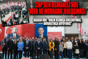 chp