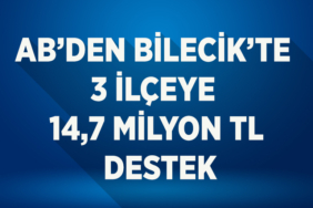 destek