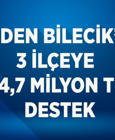 destek