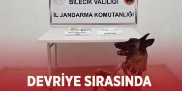 devriye