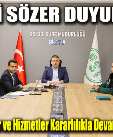dsi