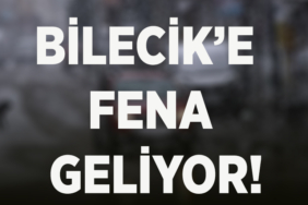 fena