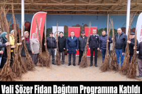 fidan