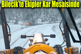 kar
