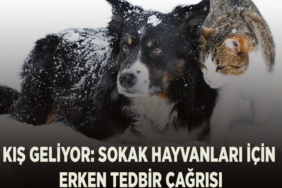 kış geliy