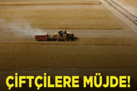 müjde