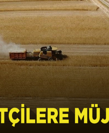 müjde