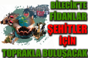 şehiit