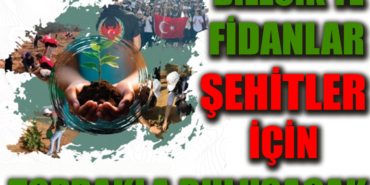şehiit