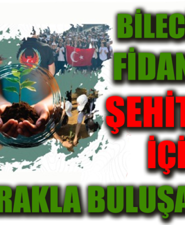 şehiit