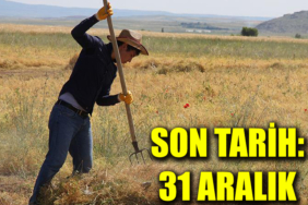 son