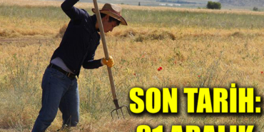 son