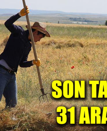 son