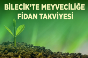 tak