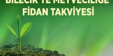 tak