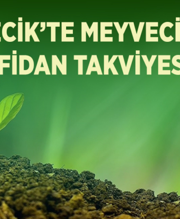 tak