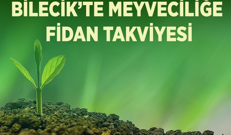 tak