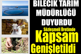 tarım