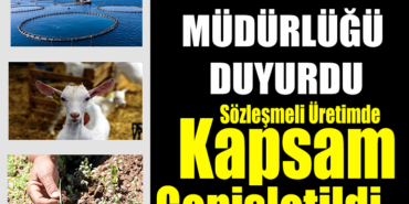 tarım
