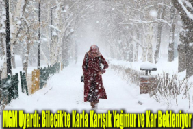 uyarı