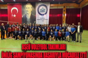 voleybol