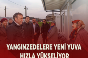 yangın
