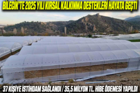 BHİBE