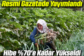 HİBE