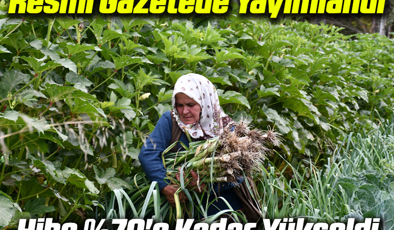HİBE