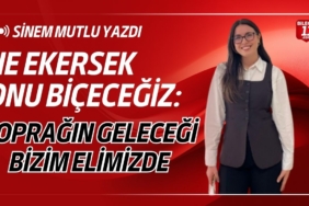 SINEM-MUTLU-YAZDI-115568