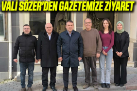 VALİ