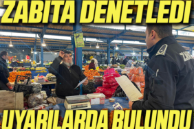 denetim
