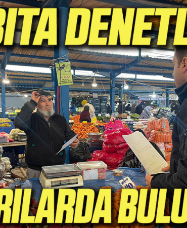 denetim