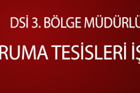 dsi ilan