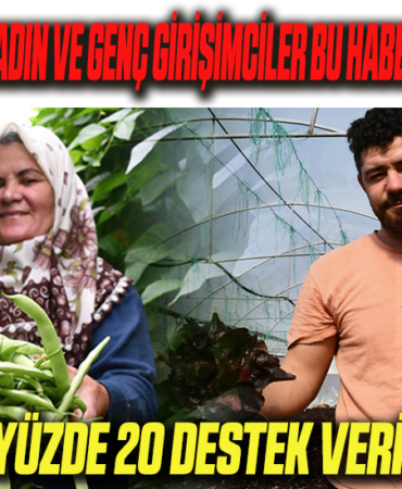 girişimci