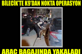 k9