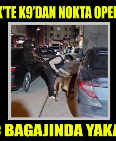 k9
