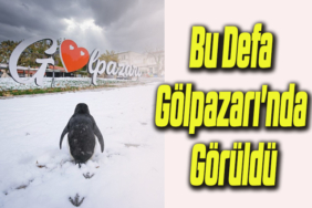 penguen