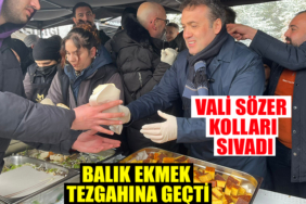 swgved