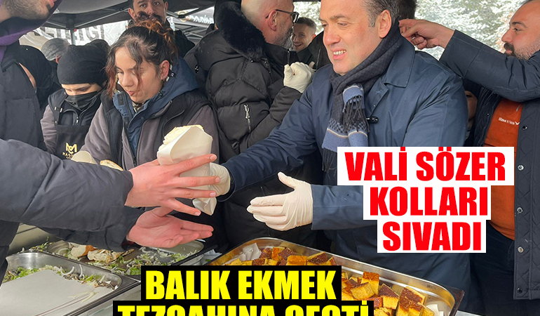 swgved