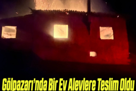 yangın