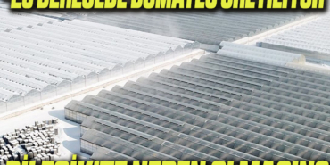 DOMATES