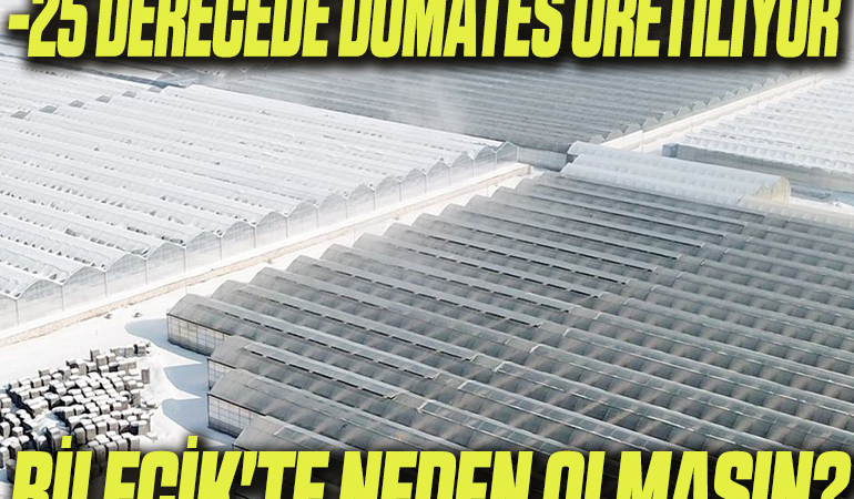 DOMATES