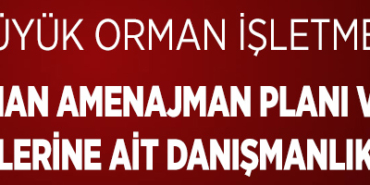 İLAN (2)