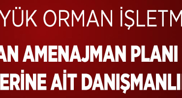 İLAN (2)